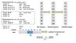 Automated Rule Generation by Knowledge Extraction from Neural Networks